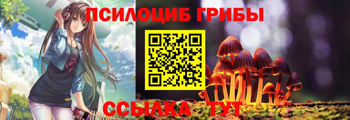 Галлюциногенные грибы GOLDEN TEACHER  Галлюциногенные грибы ЛСД  Бузулук  Вход с VPN 